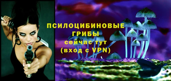 прущая мука Горно-Алтайск