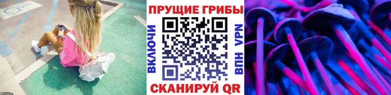 hydra маркетплейс  Одинцово  Псилоцибиновые грибы мицелий 